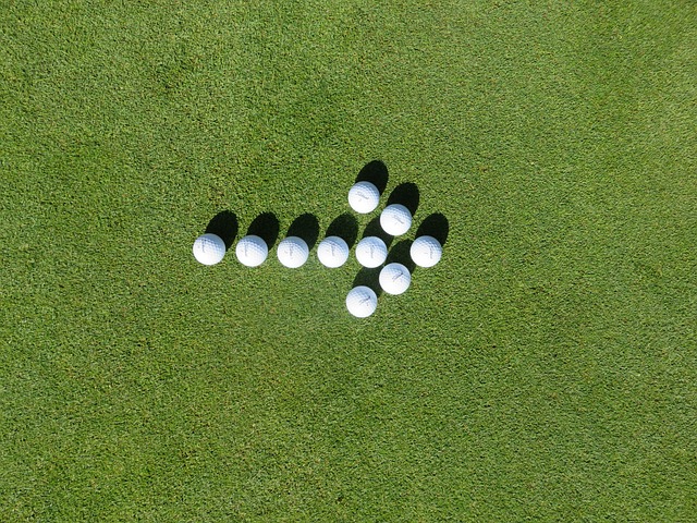 Image by Golfer from Pixabay