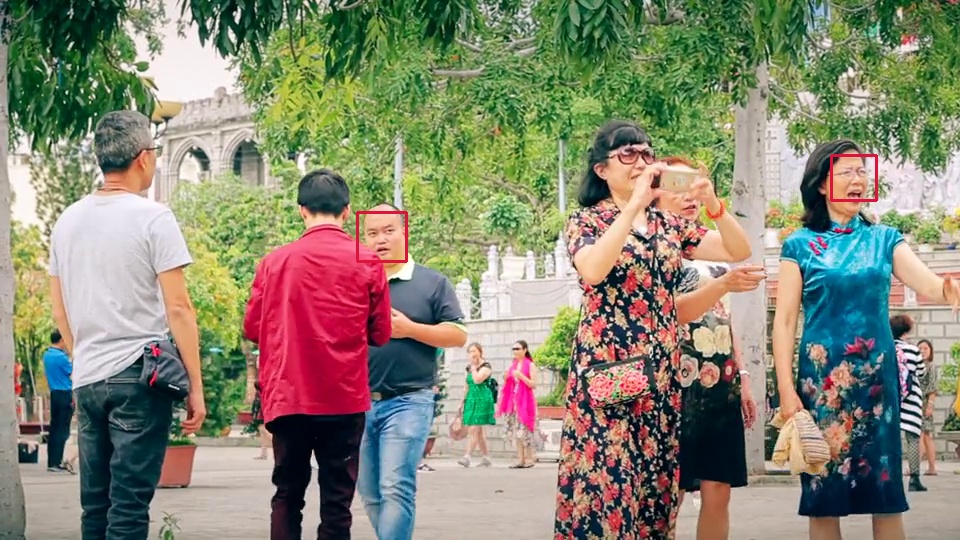Human face recognition