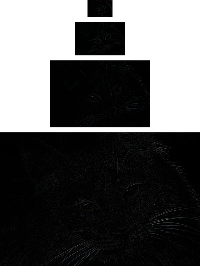 Cat picture by Manfred Richter