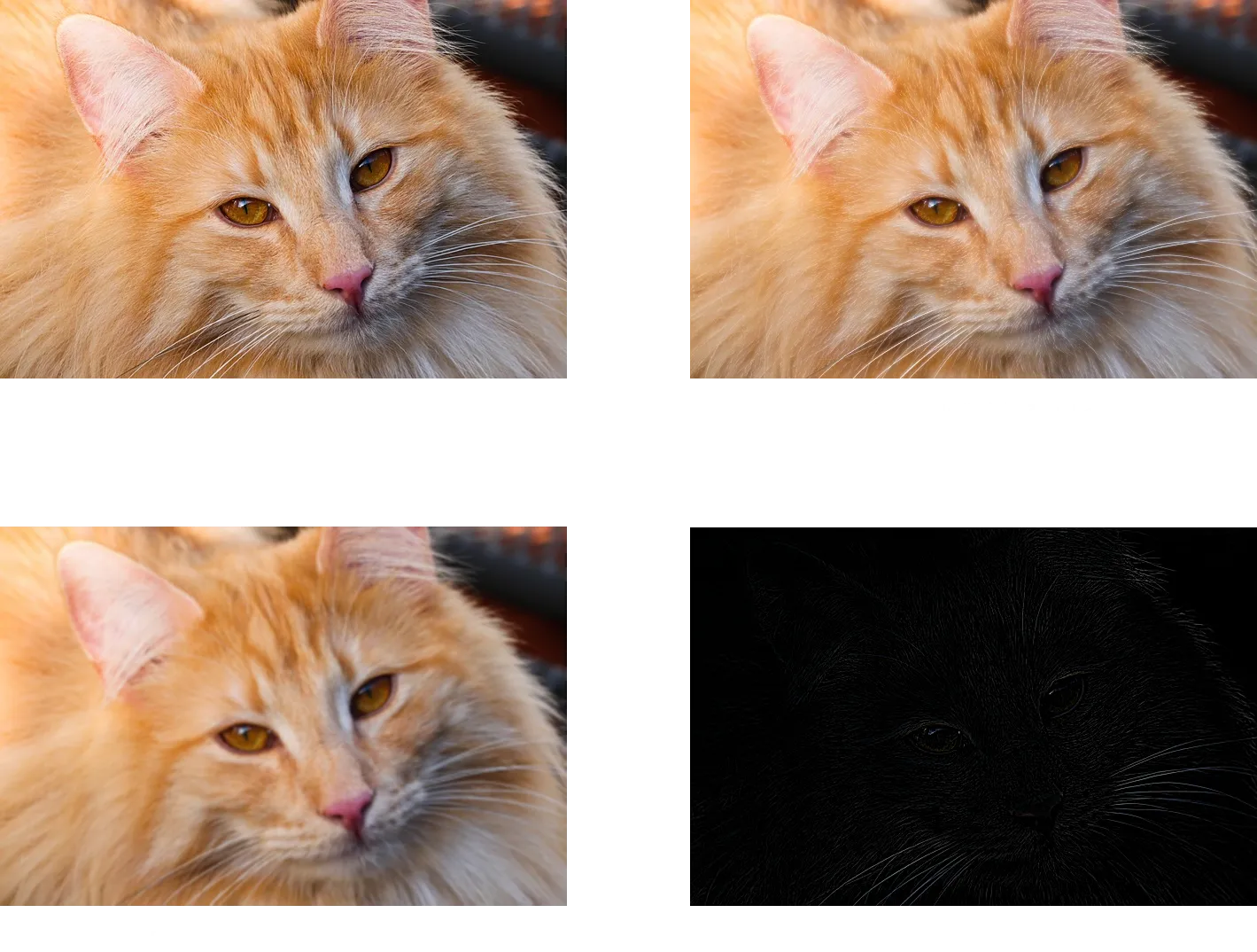 original, gaussian compare