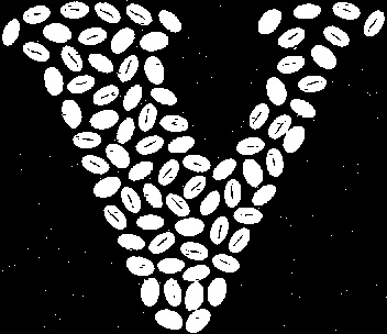 Image from Pixabay, cropped V with make noise